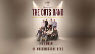 Tribute to the Cats