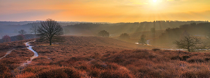 uitje nationaal park de hoge veluwe